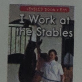 I work at the stables