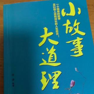 7.28《“空想家”小狮子》