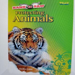 Hand to Paw Protecting Animals 2