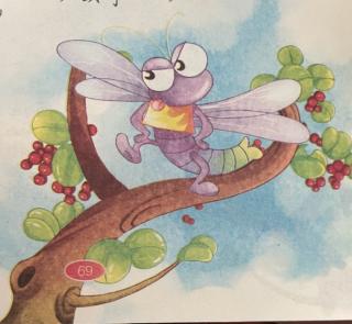 三行幼儿园园长妈妈的睡前小故事《小蜻蜓和小蜘蛛》