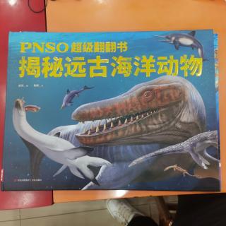 PNSO超级翻翻书揭秘远古海洋动物1