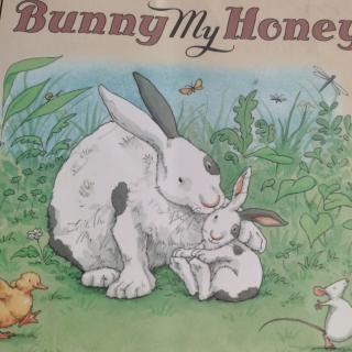 Bunny my Honey