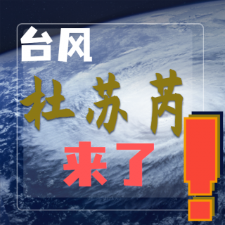 台风杜苏芮送来“生蚝滩”！市民成桶往家扛？网友：急脾气爱送生蚝？安全第一！