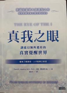 《真我之眼》29、第8章:超越因果关系（1）