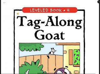 20230803《Tag-Along Goat 》Raz•H