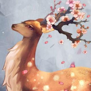 小鹿🦌的花角