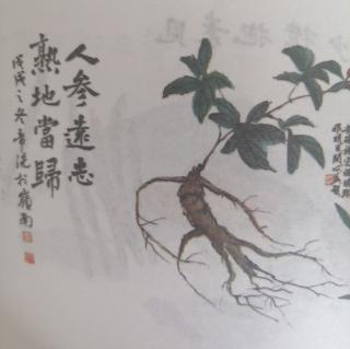 等一朵花开 世间烟火气  最抚凡人心  林帝浣