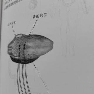 数链发生结构变化