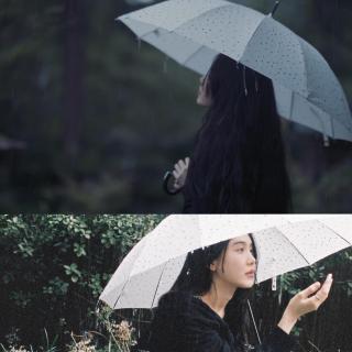 【2184】ROCOBERRY-Rain