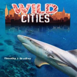 Wild Cities  2