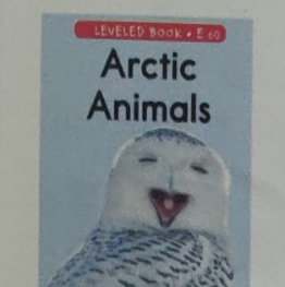 Arctic Animals