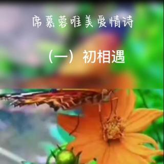 席慕蓉唯美爱情诗   一  初相遇