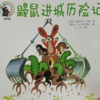 鼹鼠进城历险记～赵沐安、李智涵