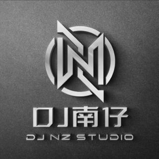 斗门DJ南仔-国粤语Electro精选DJ阿衍2023专辑串烤