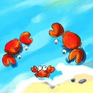 【橙子老师讲故事】螃蟹学走路
