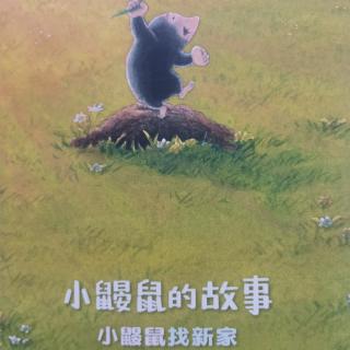 小鼹鼠找新家～丁梓豪、刘泽宇
