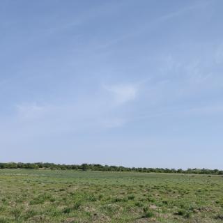 《太阳爸爸和雨点儿妈妈》