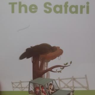 The safari