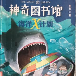 神奇图书馆海洋x计划-图书馆里的海豹