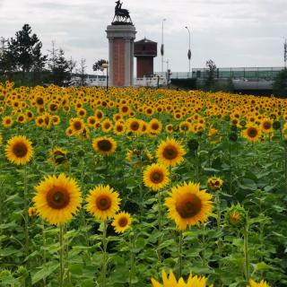 《中国话》节选   吴筱峰