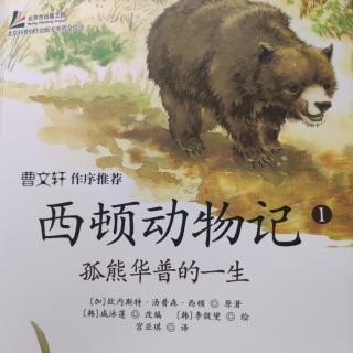 《西顿动物记》——孤熊华普的一生（上）