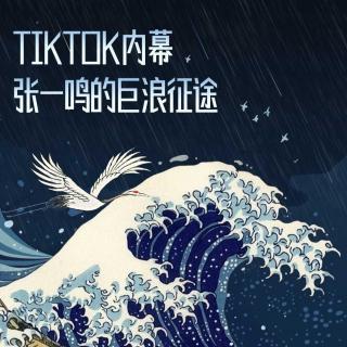 《TikTok内幕：张一鸣的巨浪征途》音频版（上集）