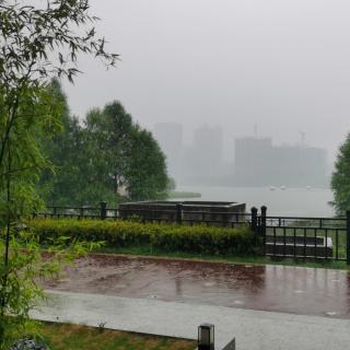 《半夏，听雨，想你》柳月青