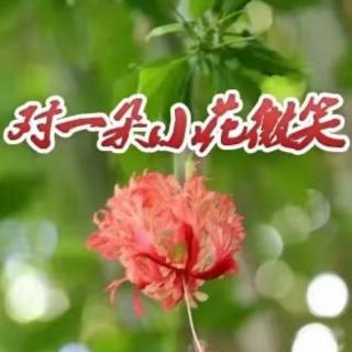 8月16日共读:对一朵小花🌸微笑🙂