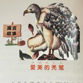 睡前故事2237《小寓言大语文》之《爱美的秃鹫》