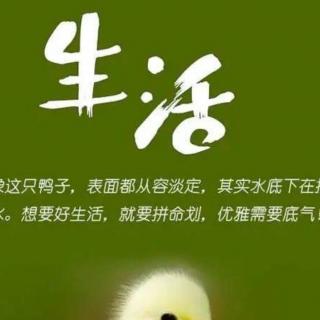 高效能人士的七个习惯第十五天