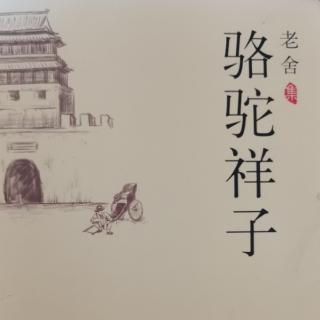 38  老舍著《骆驼祥子》十三