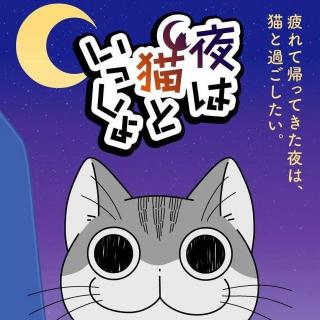 贝壳匣#04 关于养猫我一直是新手：放下“人类凝视”后，我们开始真正爱猫猫