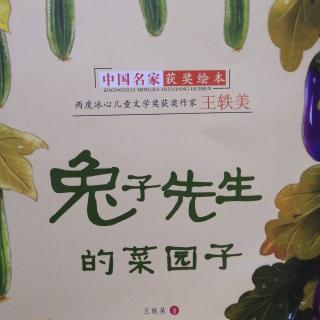 兔子先生的菜园子