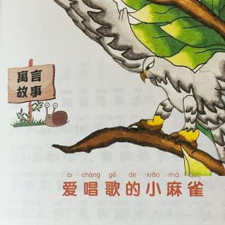 睡前故事2239《小寓言大语文》之《爱唱歌的小麻雀》