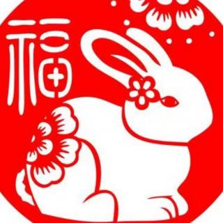 寻找快乐的小兔子🐇