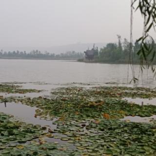 家住池泊边(上)