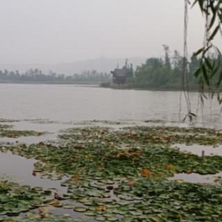 家住池泊边(下)