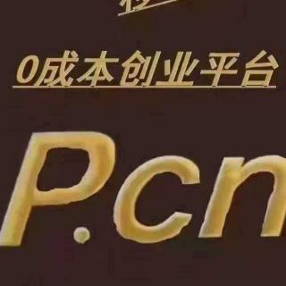 中国梦从P.CN开始