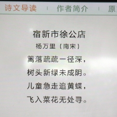 小学语文古诗打卡。