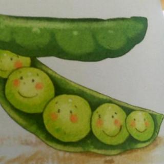 5.四年级语文上册《一个豆荚里的五粒豆》