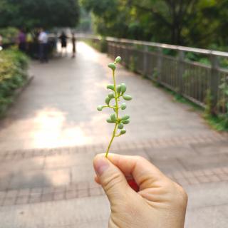 《学而不厌，诲人不倦》