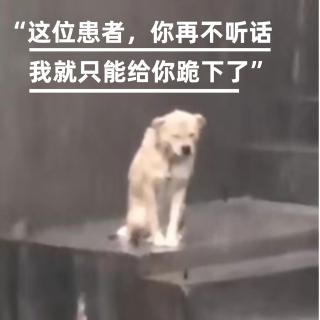 001这位患者你再不听话，我就只能给你跪下了