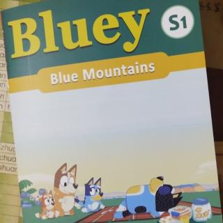 Bluey    Blue Mountain