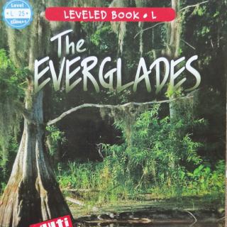 Suri麻麻英文课RAZ-L-The everglades-1