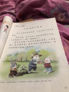 小白兔和小灰兔