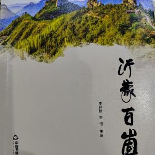 《沂蒙百崮》《保安崮》陈永杰