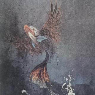 《文鳐鱼—泰器山中的飞鱼》295