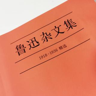 鲁迅杂文集—论“人言可畏”