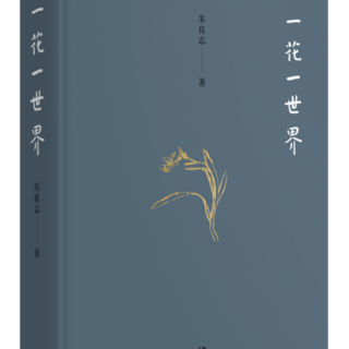 《一花一世界》德将汝为美（六）