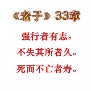 今日花语:死亡不是生命的终点，遗忘才是最终的告别。